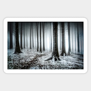 Abstract Forest in Mist and Snow Sticker